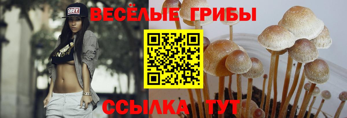 Галлюциногенные грибы Cubensis  Вход с VPN  где можно купить наркотик  Псилоцибиновые грибы ЛСД  Миасс 